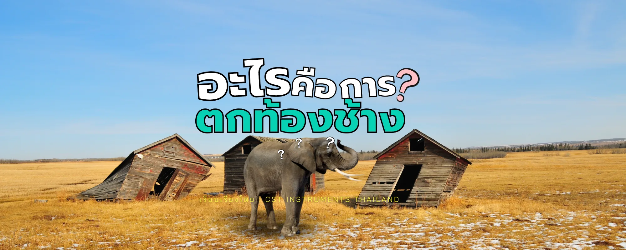 ตกท้องช้างคืออะไร?