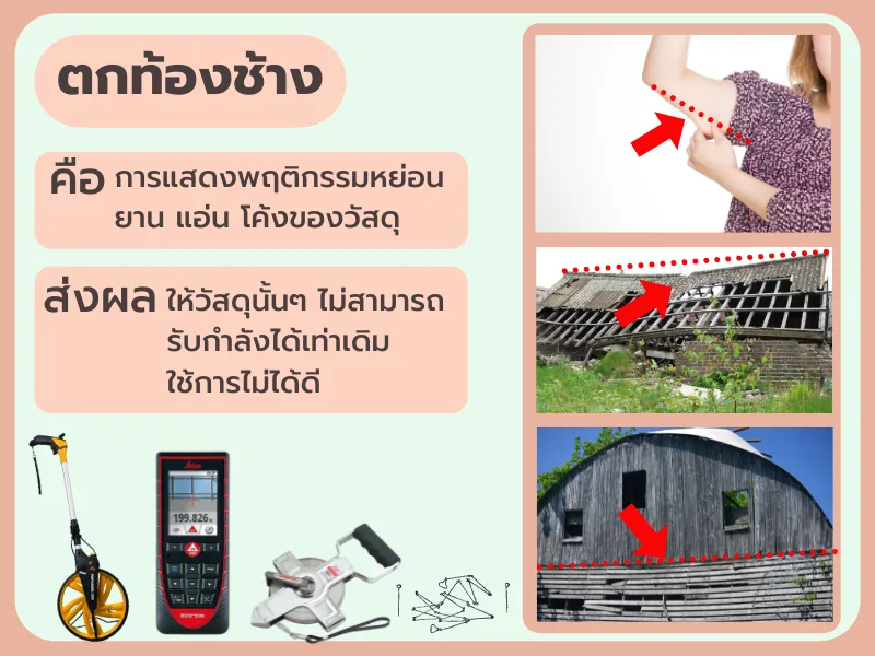 ‘ตกท้องช้าง’ แปลว่าอะไร?