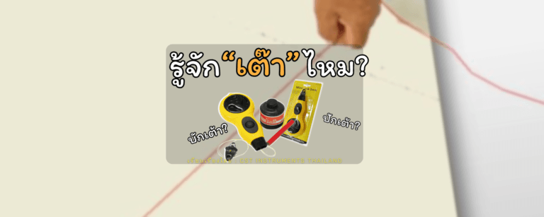 รู้จัก “เต๊า” ไหมคะ?