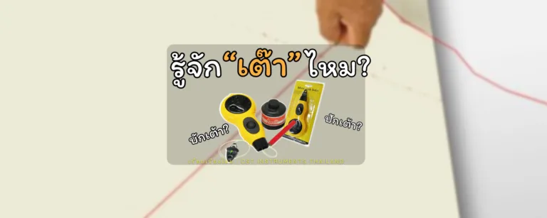 รู้จัก “เต๊า” ไหมคะ?