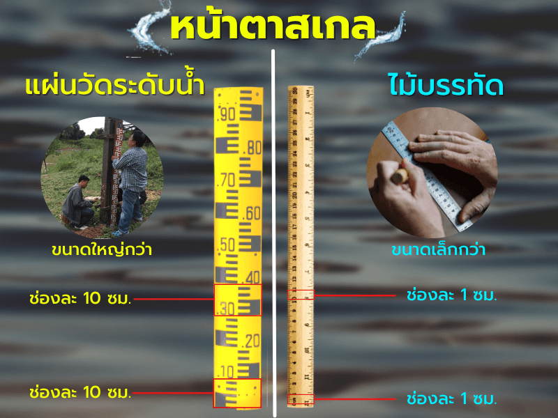 มารู้จักกับหน้าตาสเกลกันก่อน