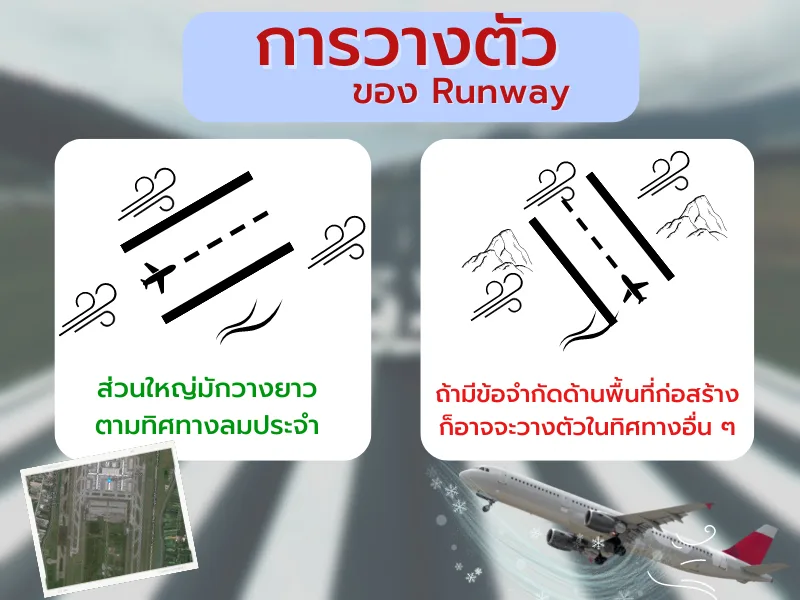 การวางตัว