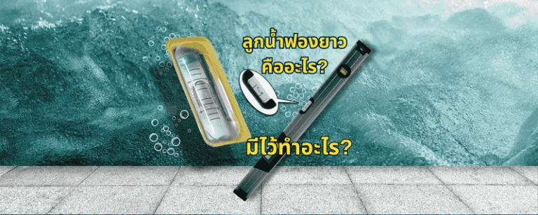 ลูกน้ำฟองยาวคืออะไร? มีไว้ทำอะไร?