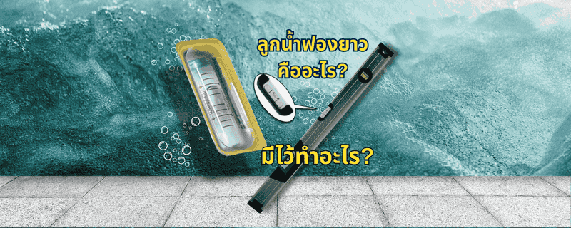 ลูกน้ำฟองยาวคืออะไร? มีไว้ทำอะไร?