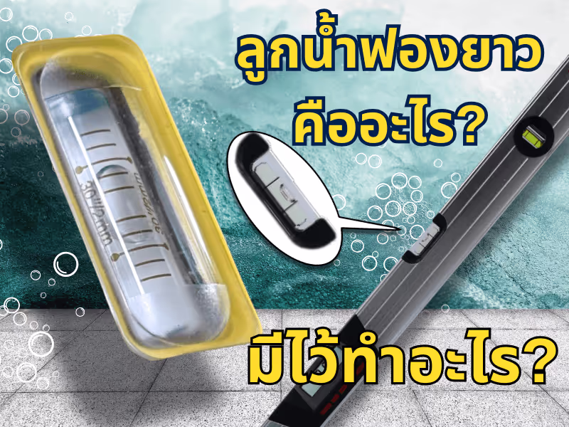ทำความรู้จักลูกน้ำฟองยาว